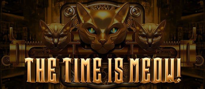 Čas je mňau game artwork